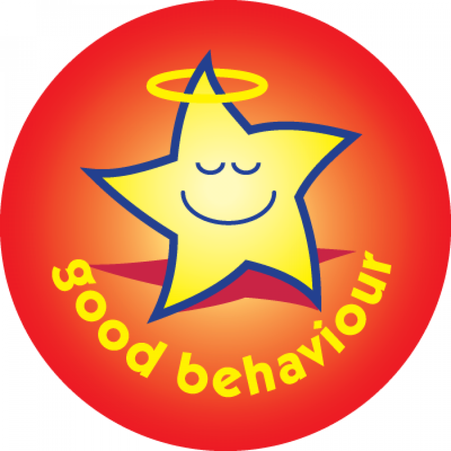 Pupil Positive Behaviour Report St Brigids Primary School