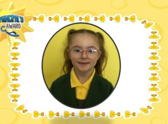 Willow Mac F