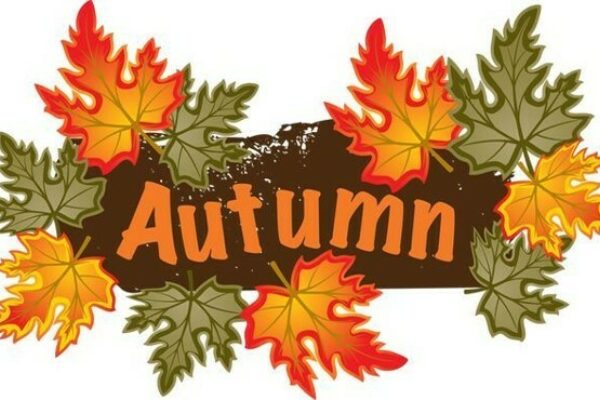 Year 4 & 7 Autumn Walk