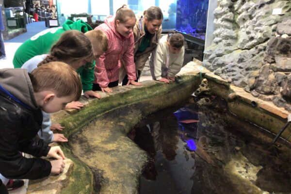 Class B Trip to Portrush