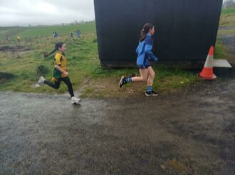 20260415 103435 Copy