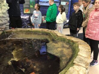 Img 0437