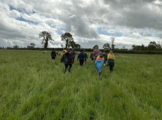 Img 0881