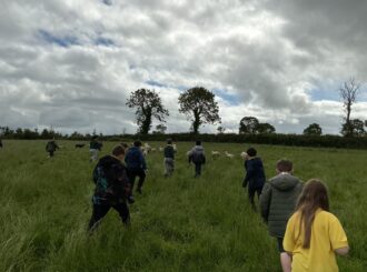 Img 0882