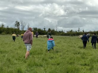 Img 0883