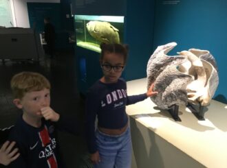 Img 1578