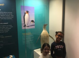 Img 1579