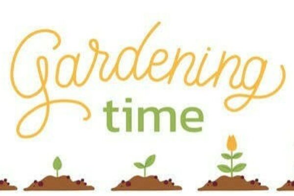 Class B Gardening Time