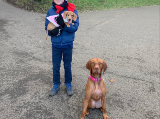 Microsoft Teams Image 15