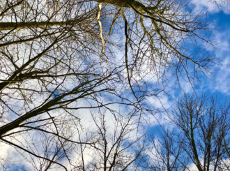 Microsoft Teams Image 11